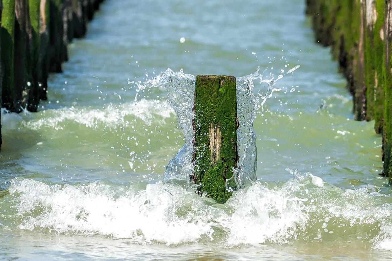 Hello Zeeland - Vakantiehuis Zeemeeuw 128 Breskens
